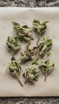 Foraged Himalayan Nettle Leaves