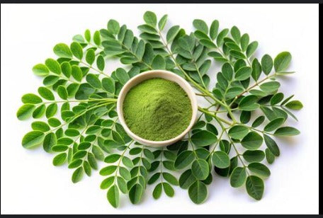 Moringa Powder