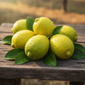 Fresh Kazi Nemu GI-tagged Assam Lemon
